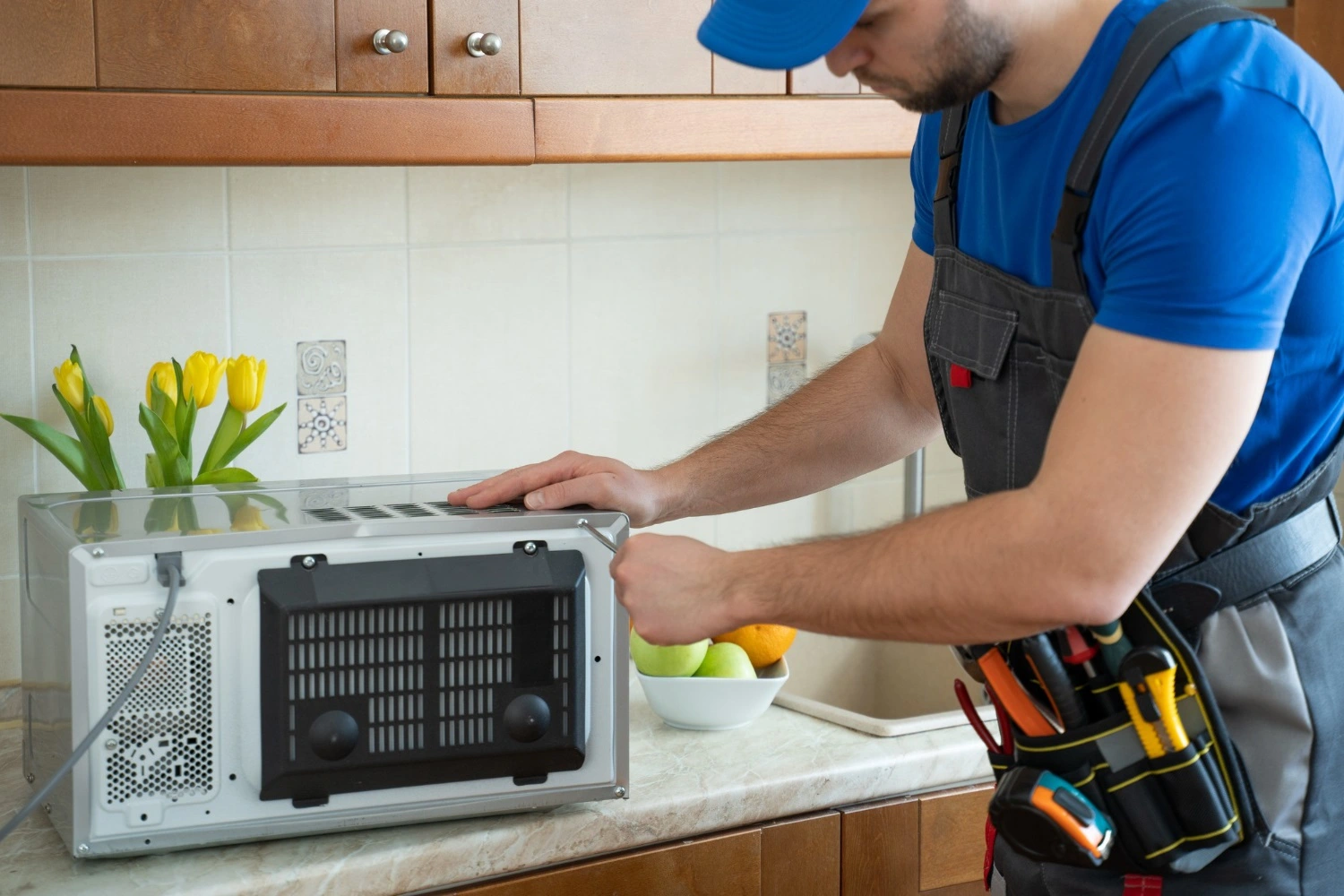 professionalwolf Microwave repair services in LA